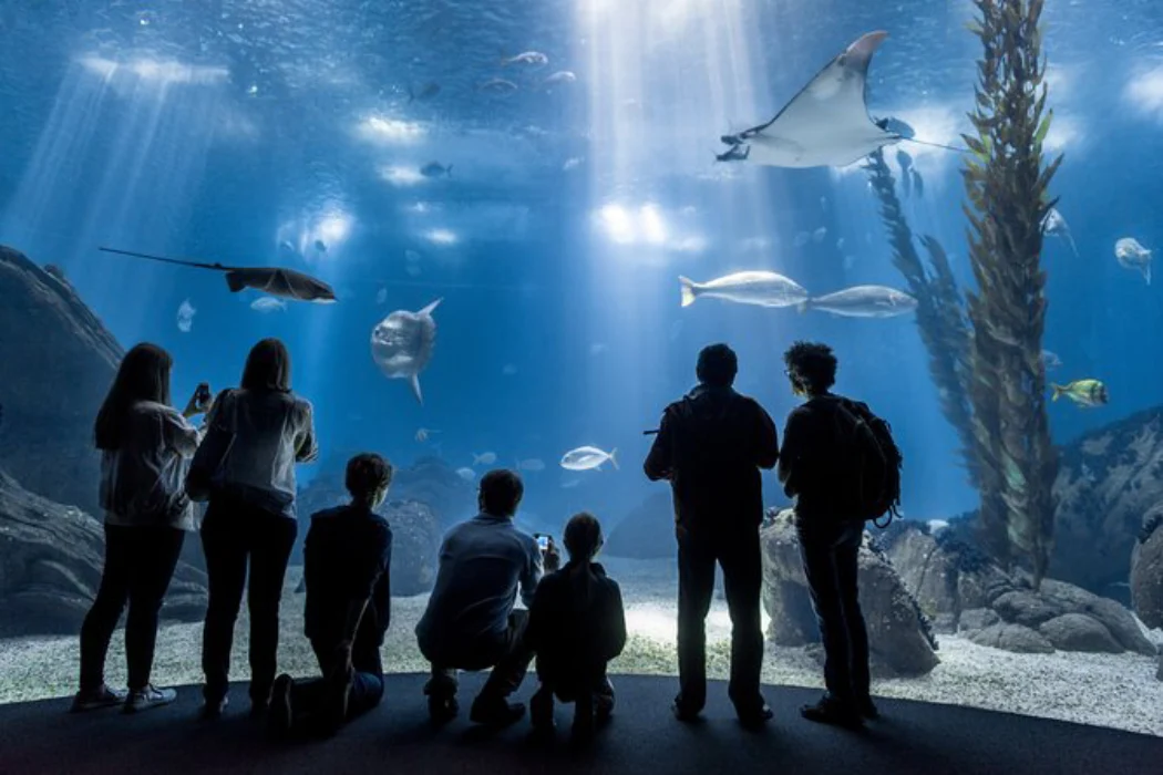 Lisbon Oceanarium Private Tour