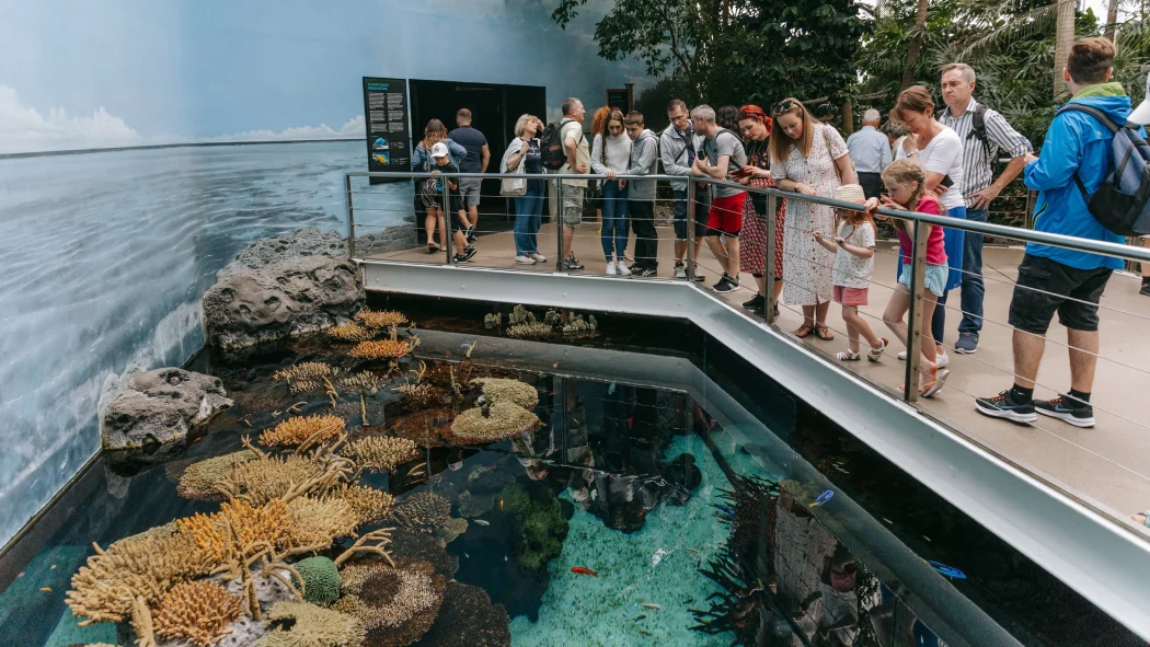 Lisbon Oceanarium Tour