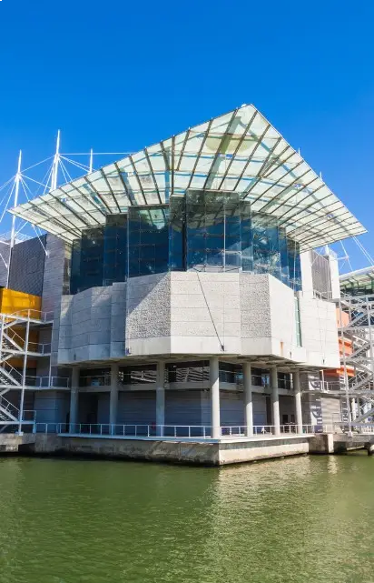 beautiful Oceanário de Lisboa